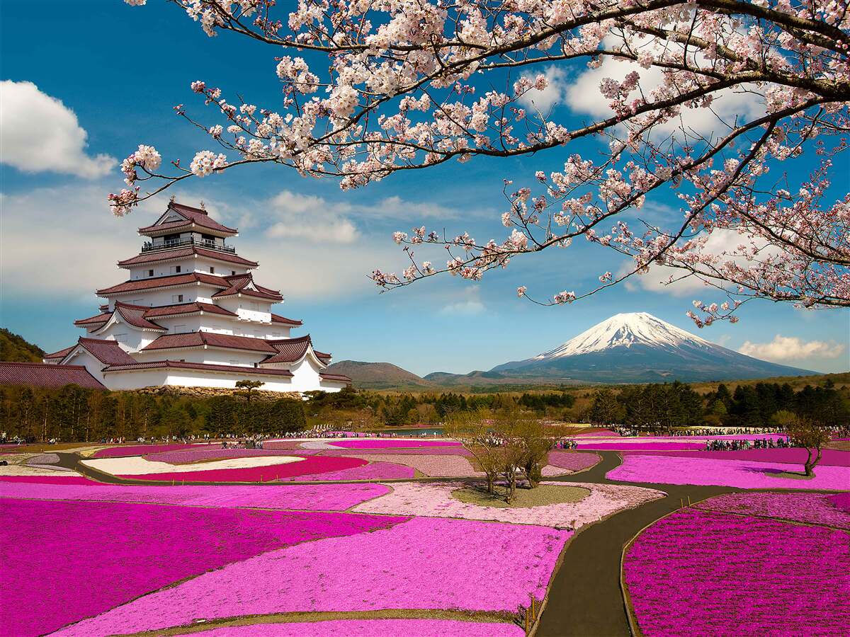 Papier peint près de la maison japonaise se trouvent des jardins luxuriants de tulipes
