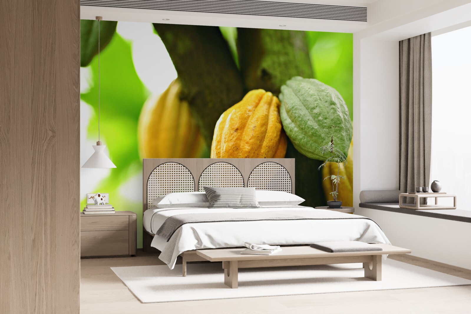 Papier peint fèves de cacao mûres sur l'arbre