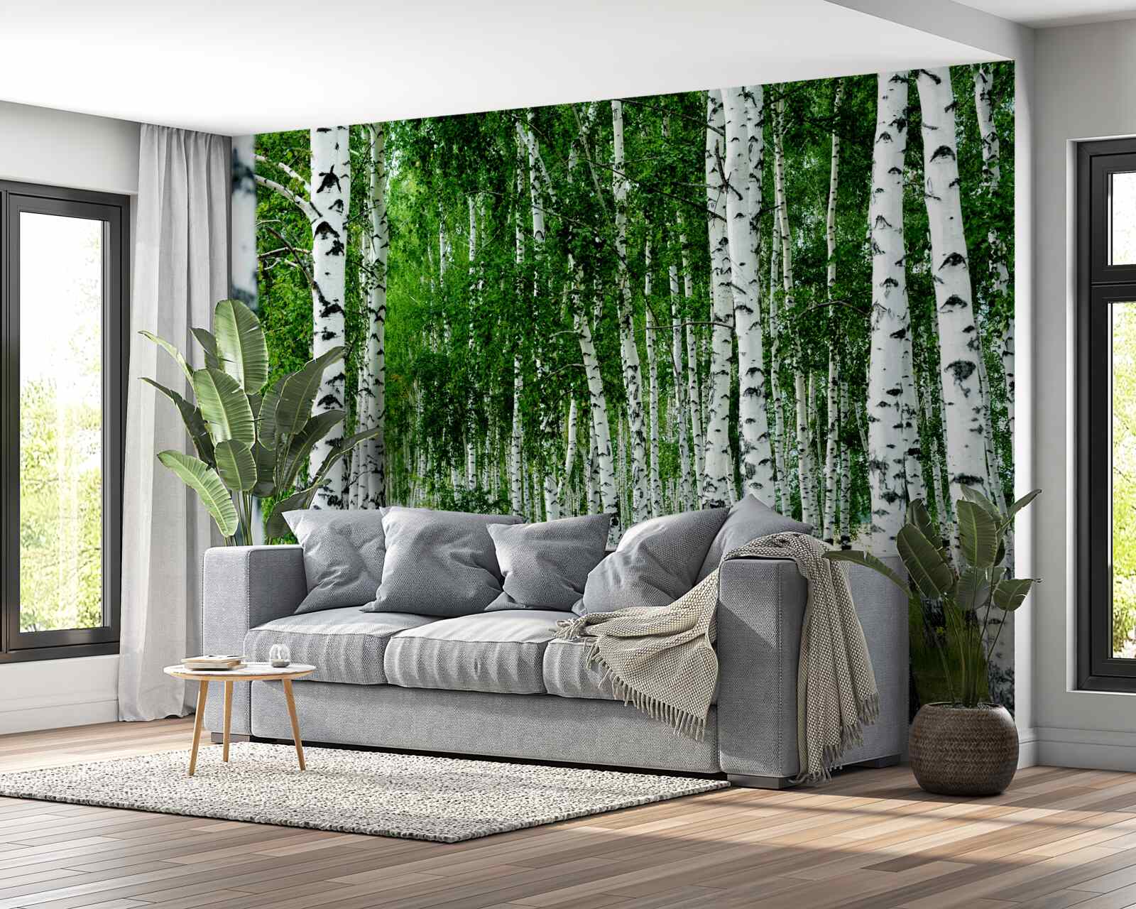 Papier peint mince bosquet de bouleaux