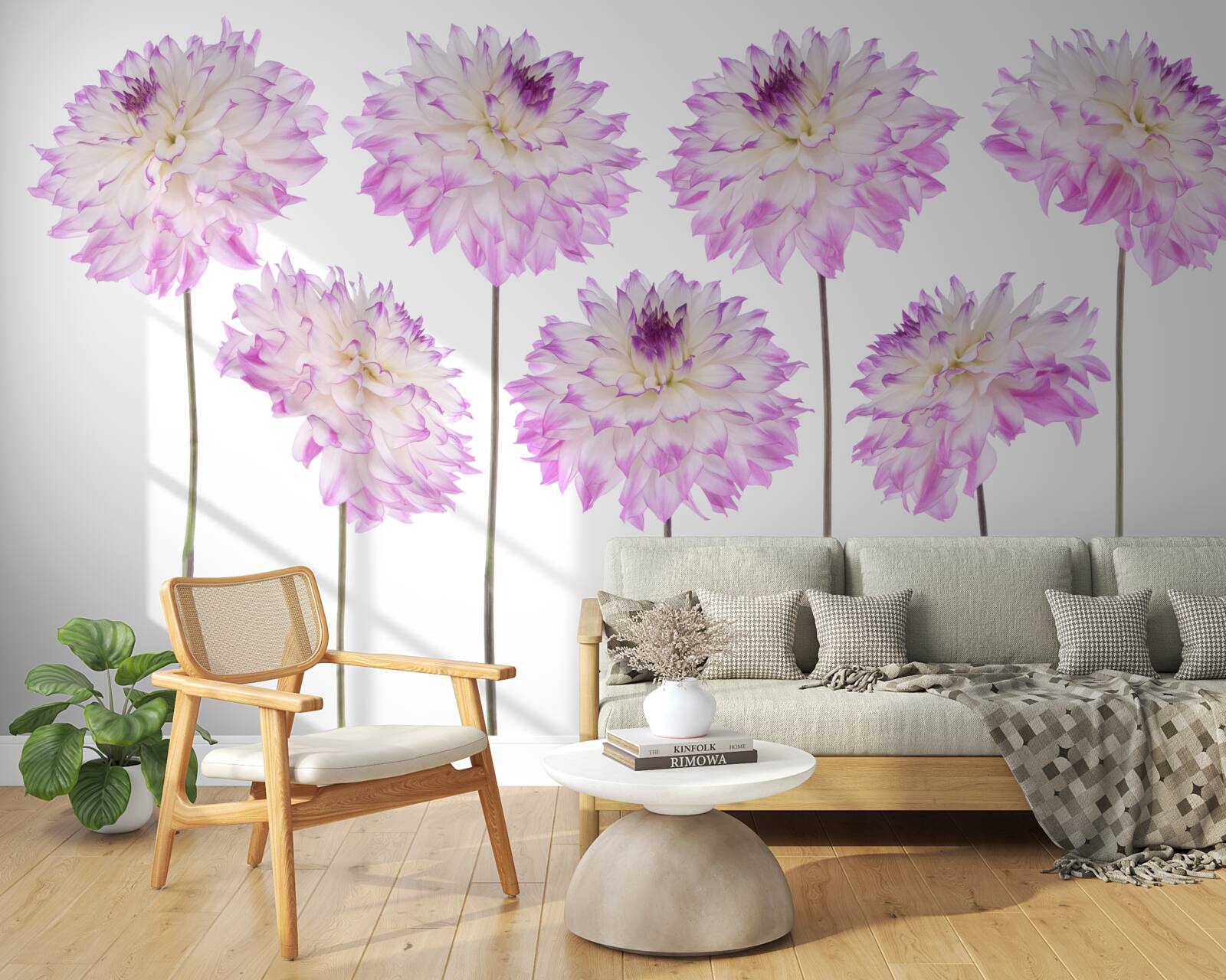 Papier peint gracieux asters blancs et roses