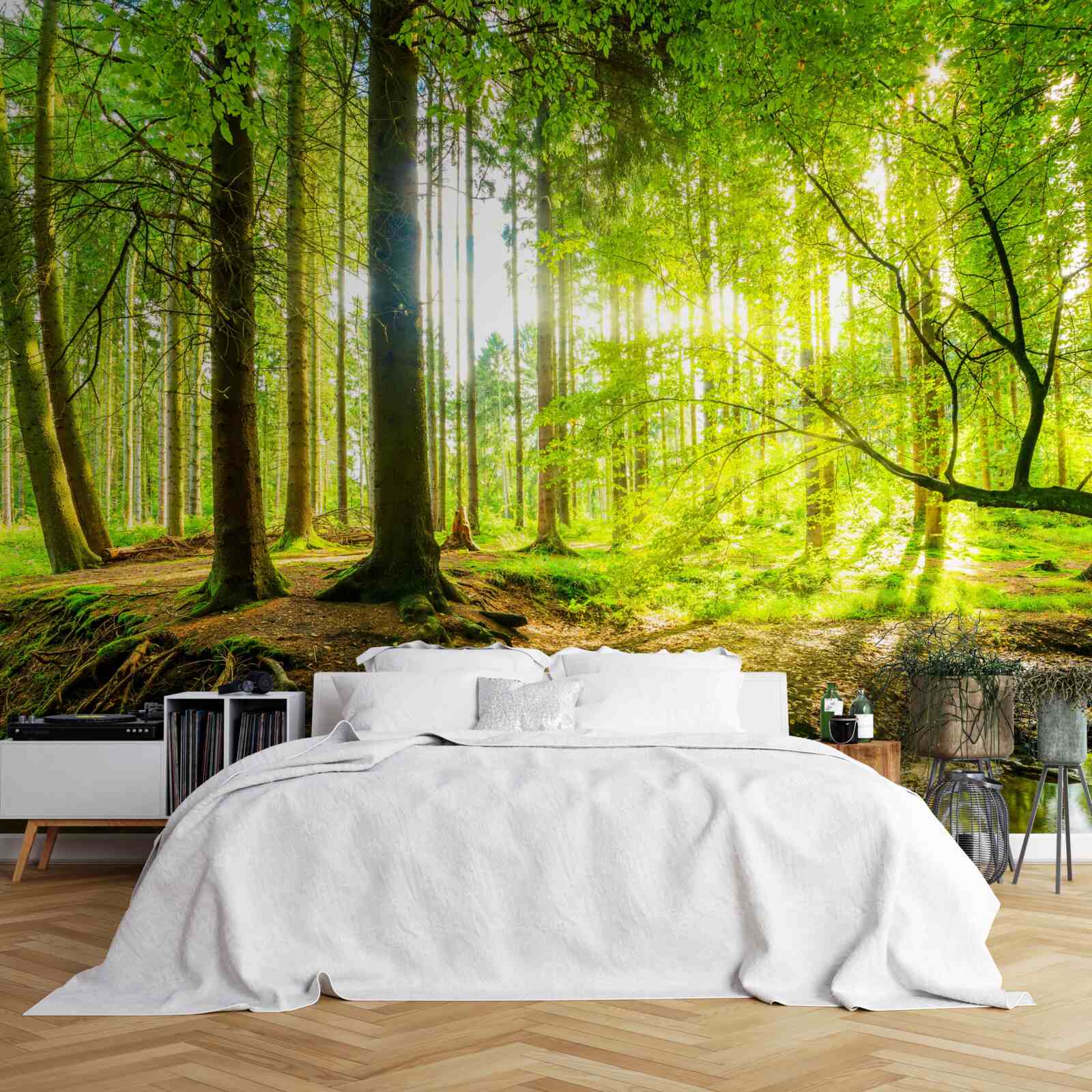 Papier peint Les rayons du soleil réveillent une forêt endormie
