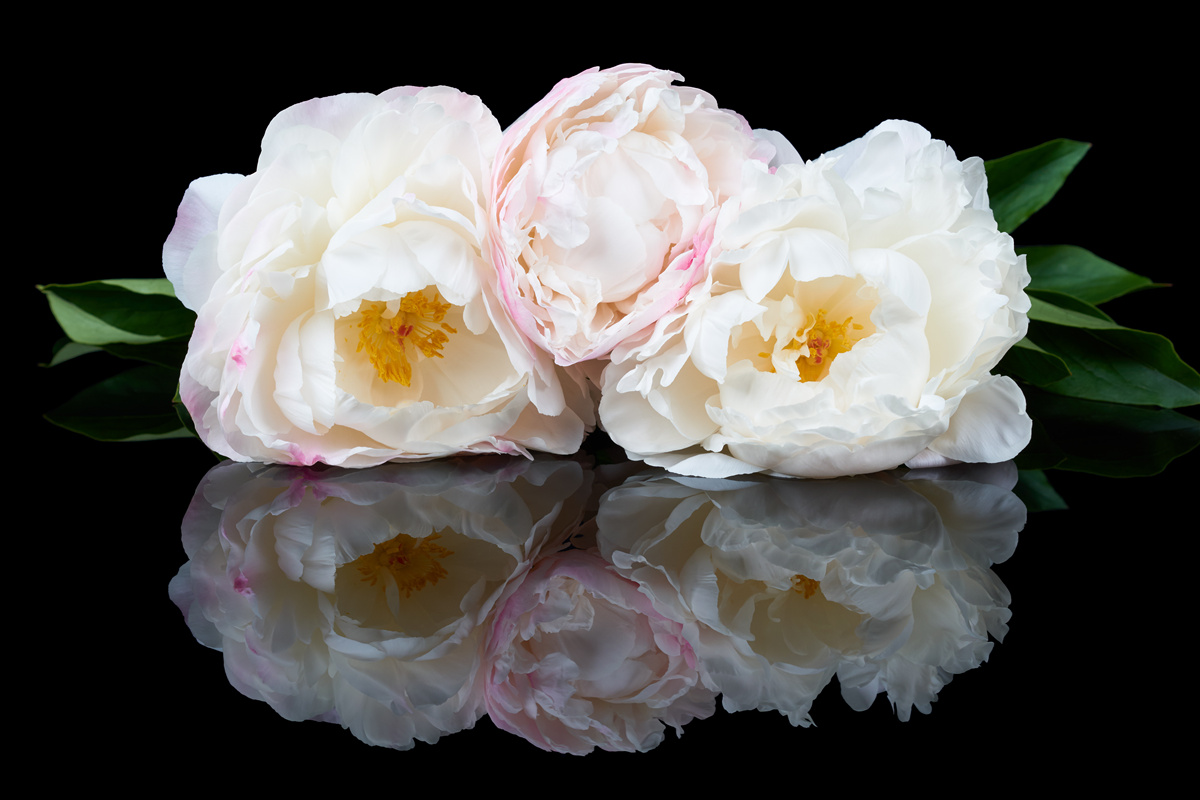 Papier peint bouquet de fleurs blanches se reflétant dans l'eau