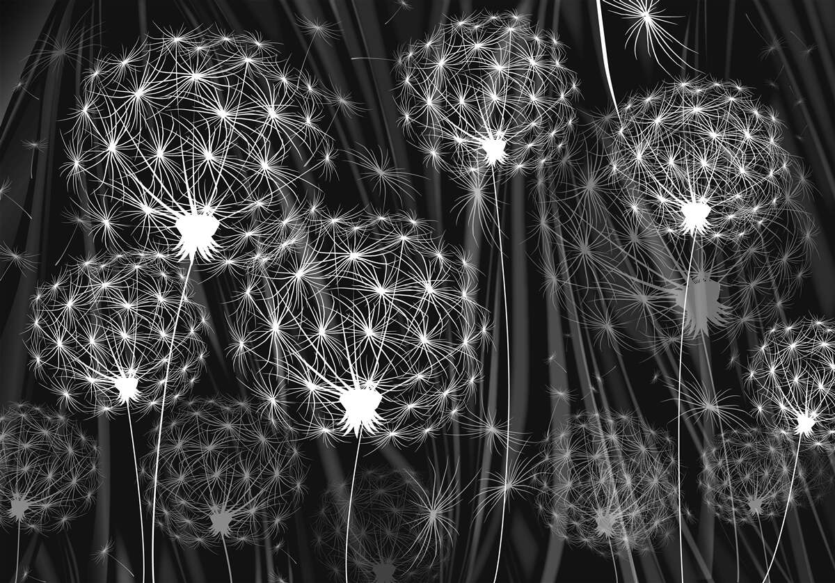 Papier peint abstraction de rayons de lune sur des pissenlits