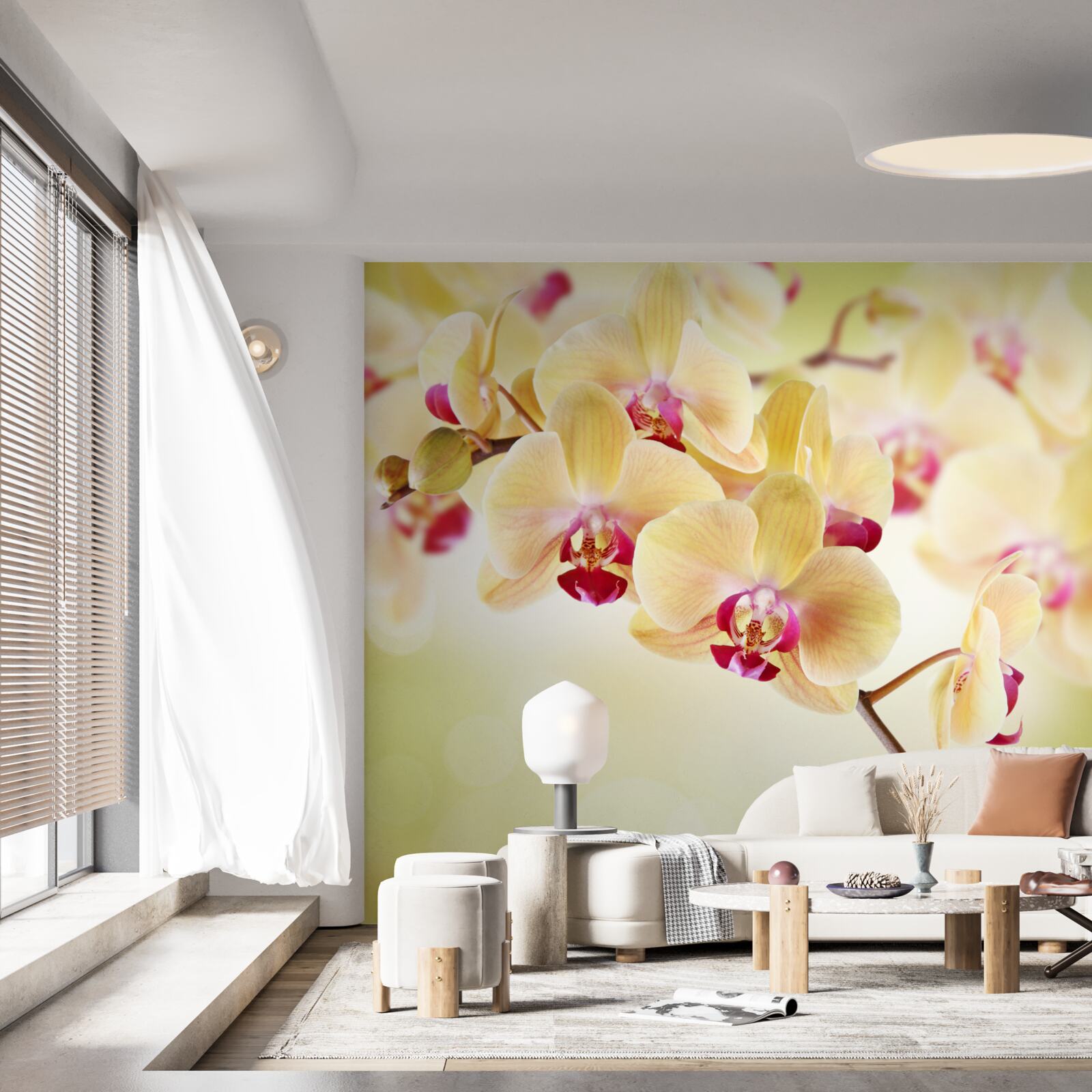 Papier peint orchidée douce et crémeuse avec des bourgeons gracieux