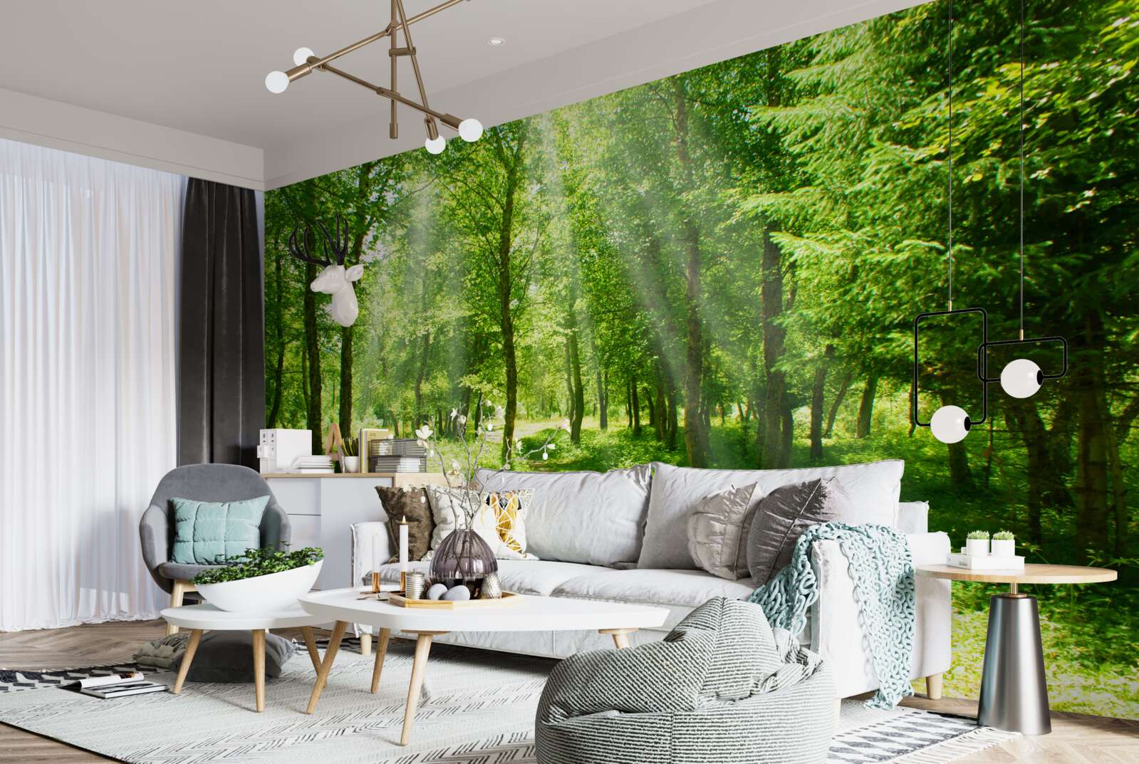 Papier peint les rayons du soleil percent le vert dense de la jeune forêt