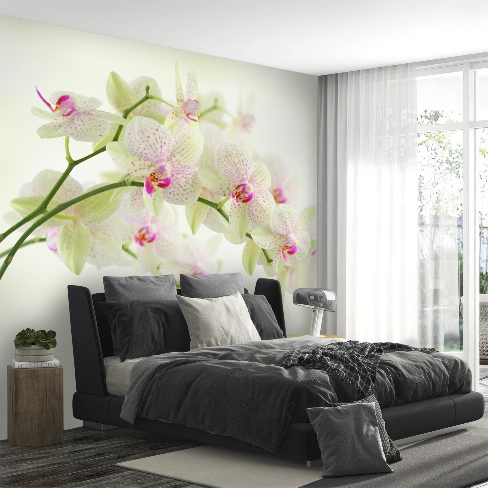 Papier peint des branches exceptionnellement luxuriantes avec des bourgeons d'orchidées
