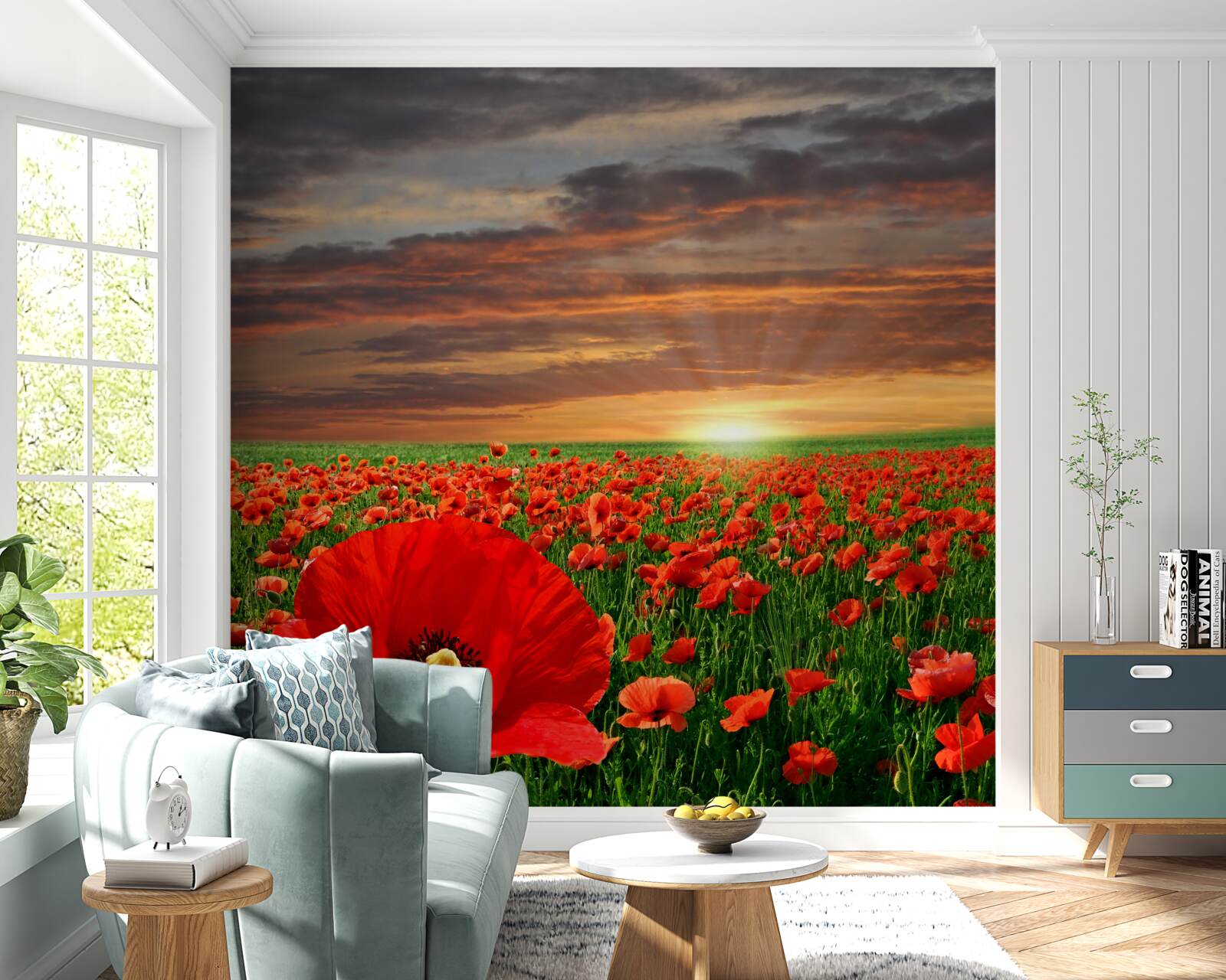 Papier peint le coucher de soleil disparaît sur un champ de coquelicots rouges