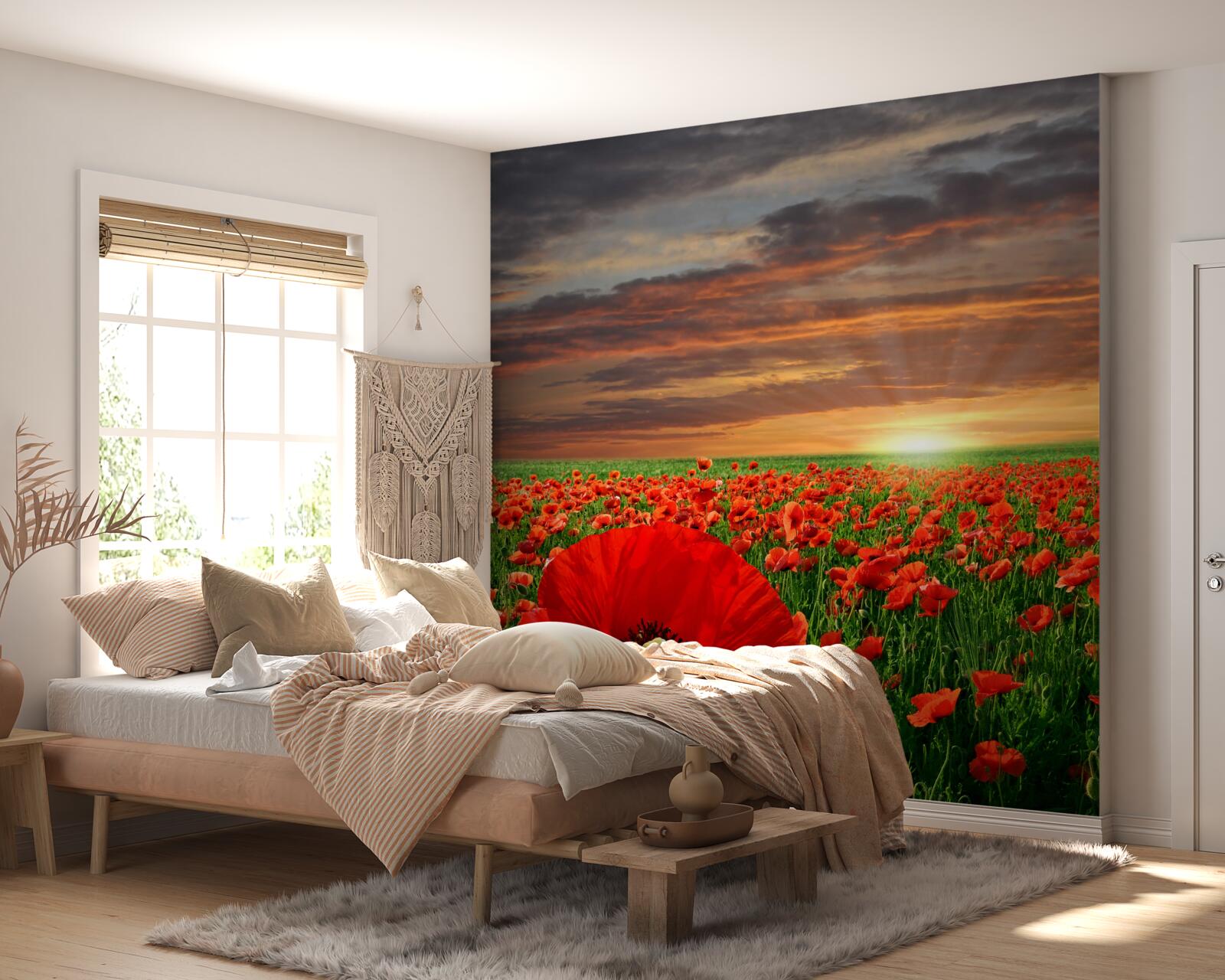 Papier peint le coucher de soleil disparaît sur un champ de coquelicots rouges
