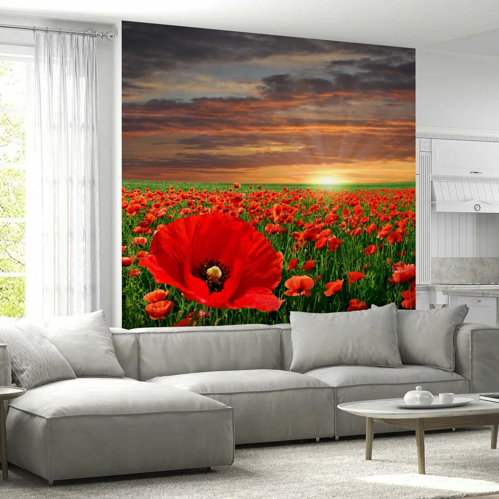Papier peint le coucher de soleil disparaît sur un champ de coquelicots rouges