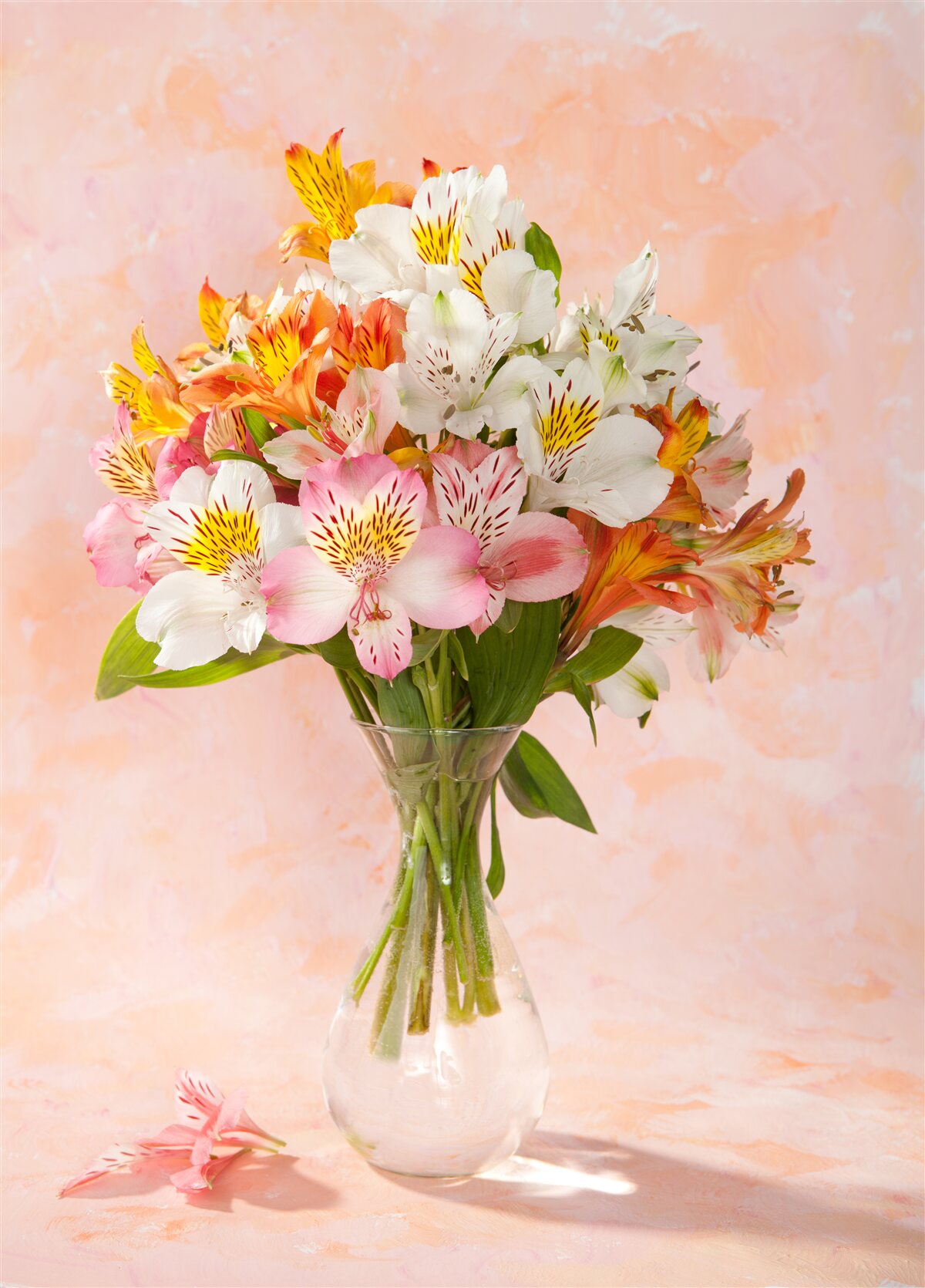 Papier peint le vase contient un bouquet de diverses fleurs fraîches de printemps