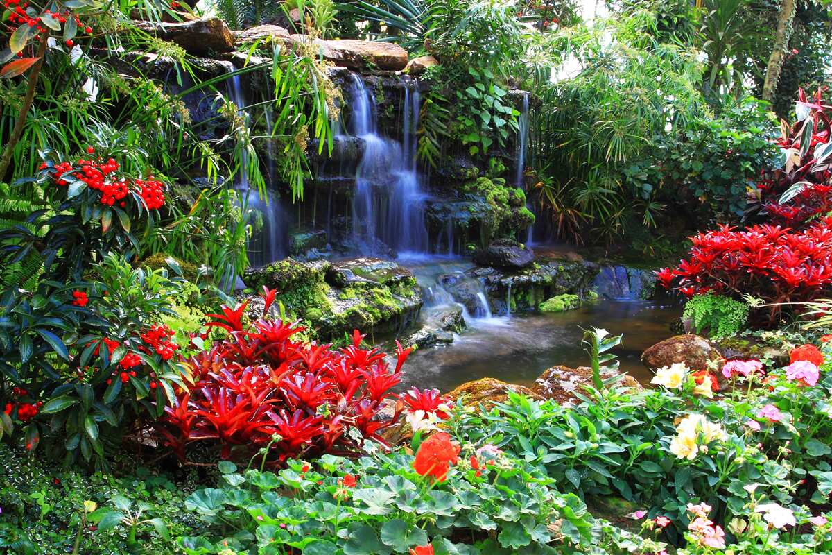 Papier peint un lieu magique près d'une cascade, entouré de fleurs