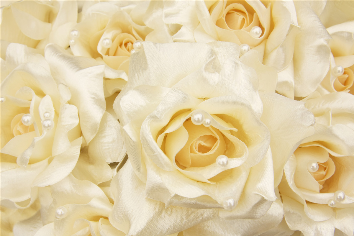 Papier peint composition de roses aux délicats pétales blancs et au cœur jaune