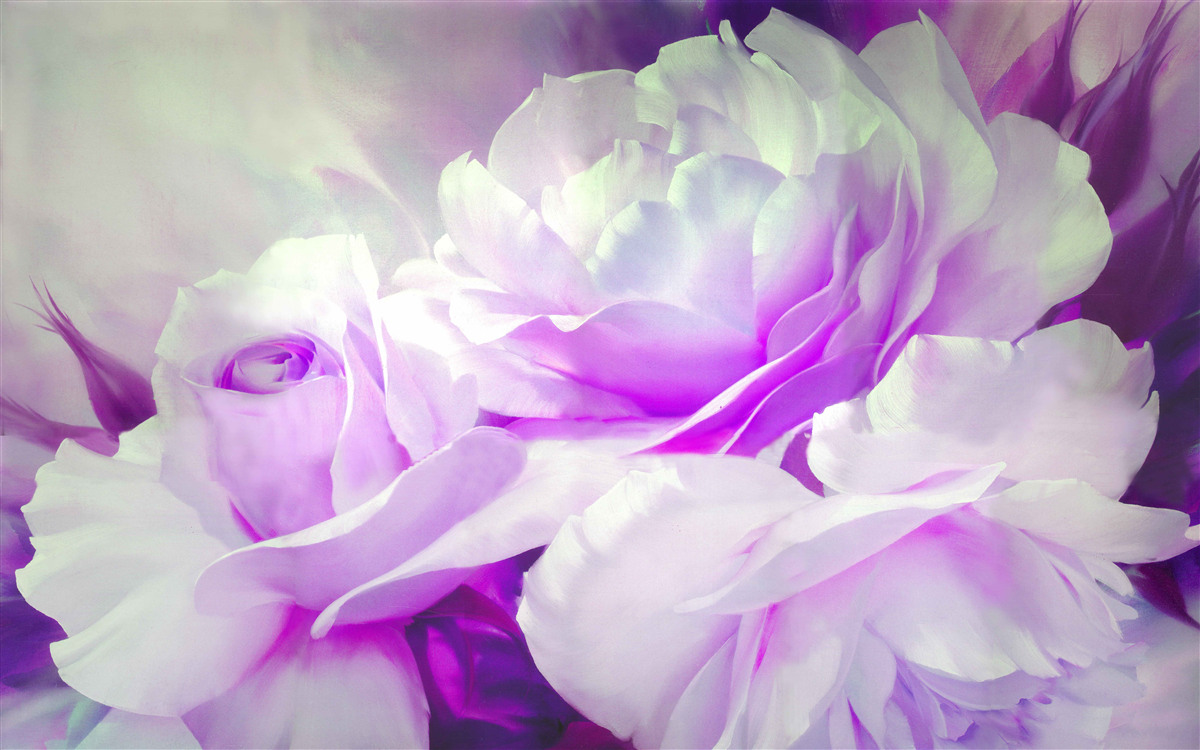 Papier peint Les fleurs sont blanches avec des nuances de lilas et des éclats de couleur.