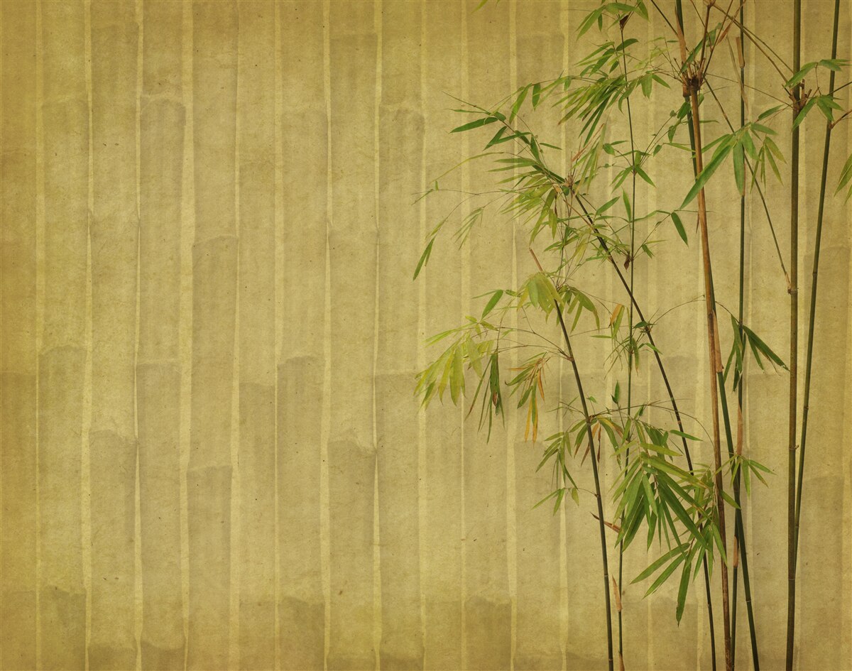 Papier peint les branches apicales des plantes tropicales sont sur une planche verticale