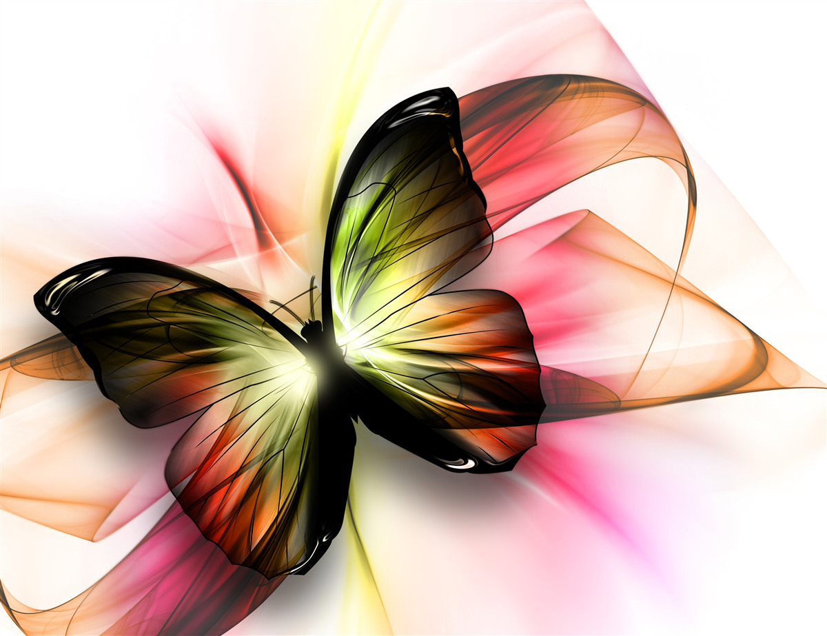 Papier peint un papillon aux teintes sombres voltige gracieusement
