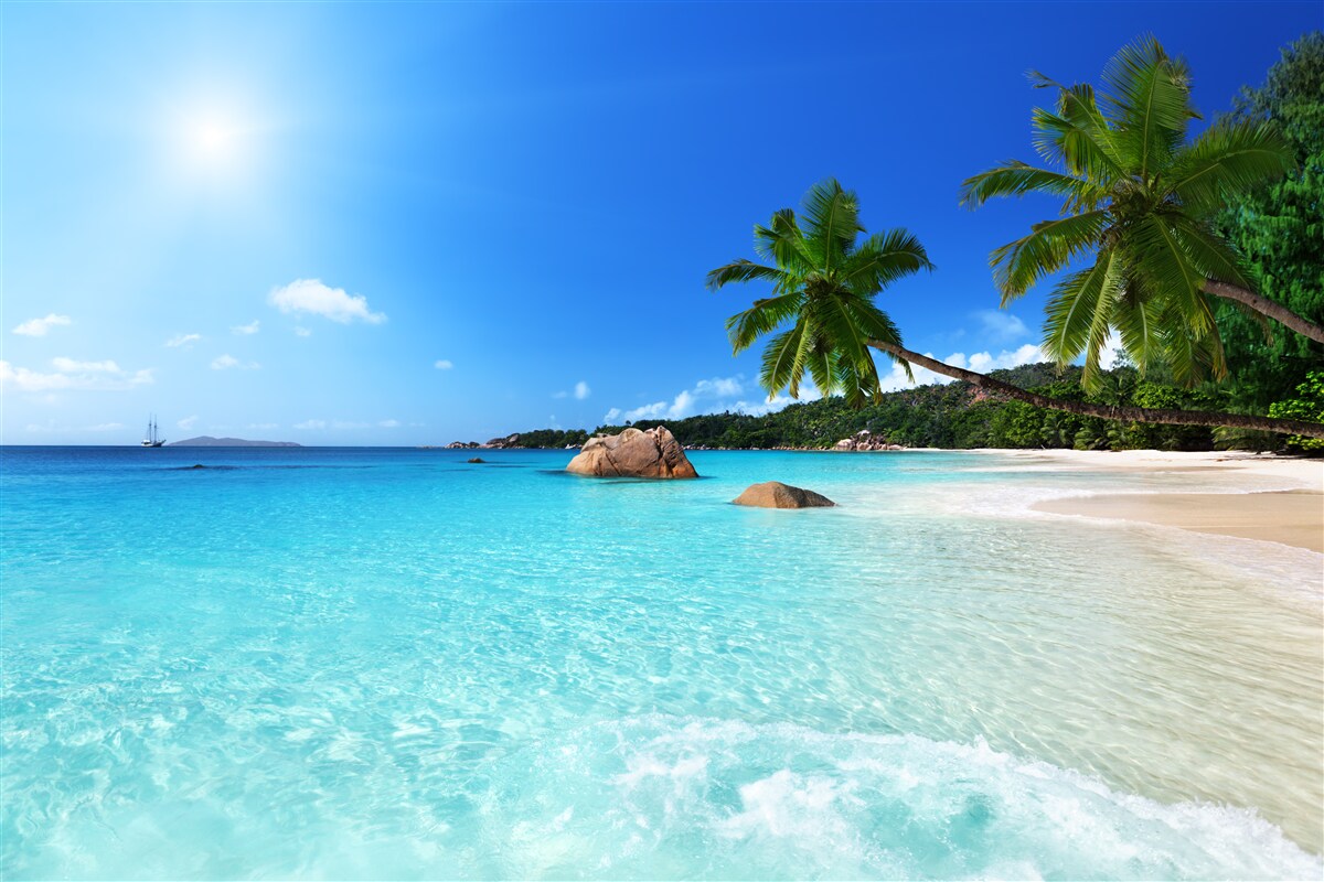 Papier peint eau turquoise au large d'un rivage exotique
