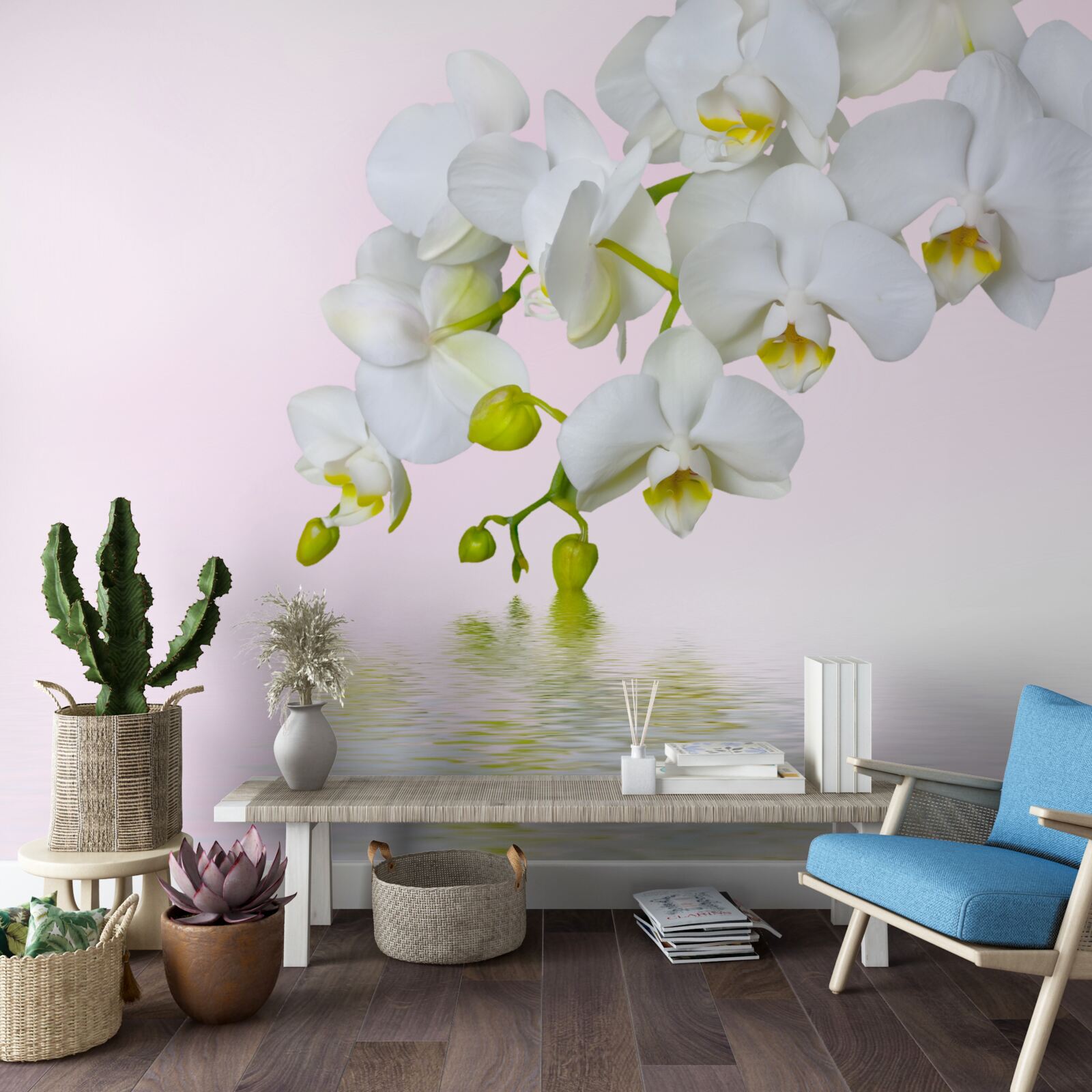 Papier peint orchidée blanche avec fleurs et bourgeons près de l'eau