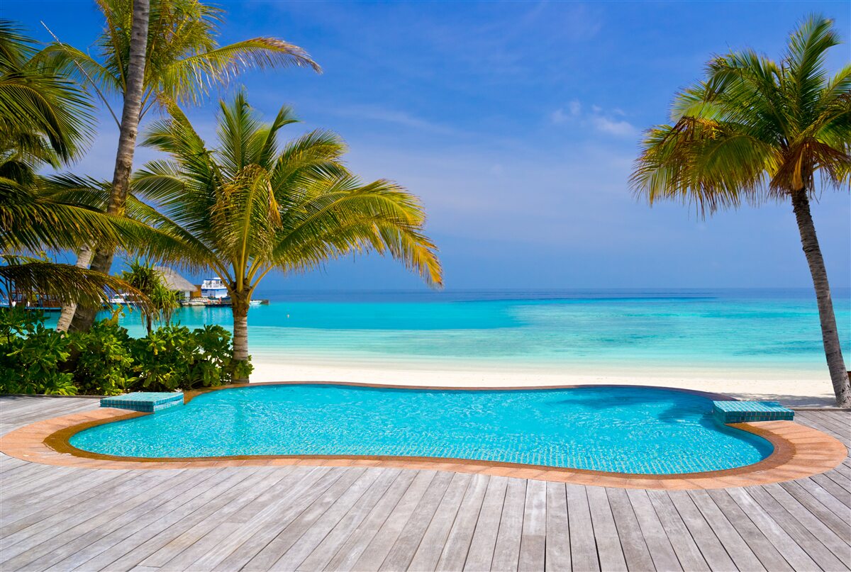 Papier peint piscine proche du rivage, entourée de palmiers