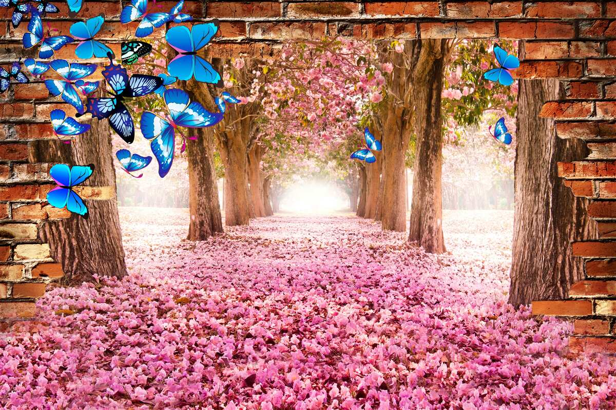 Papier peint Le sakura attire les papillons avec ses fleurs