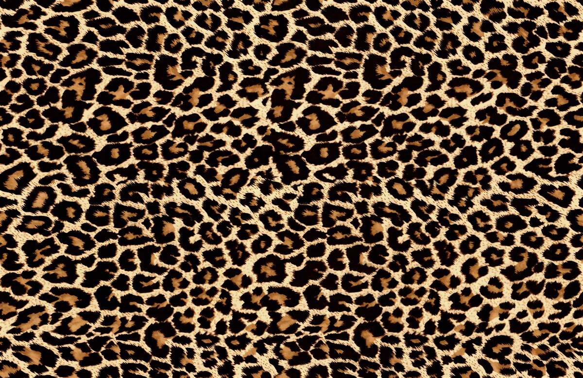 Papier peint motif léopard inhabituel