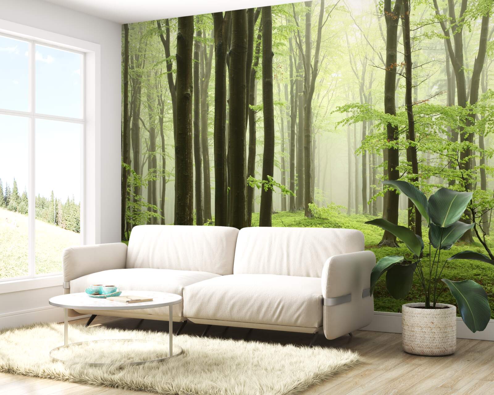 Papier peint arbres dans une forêt dense