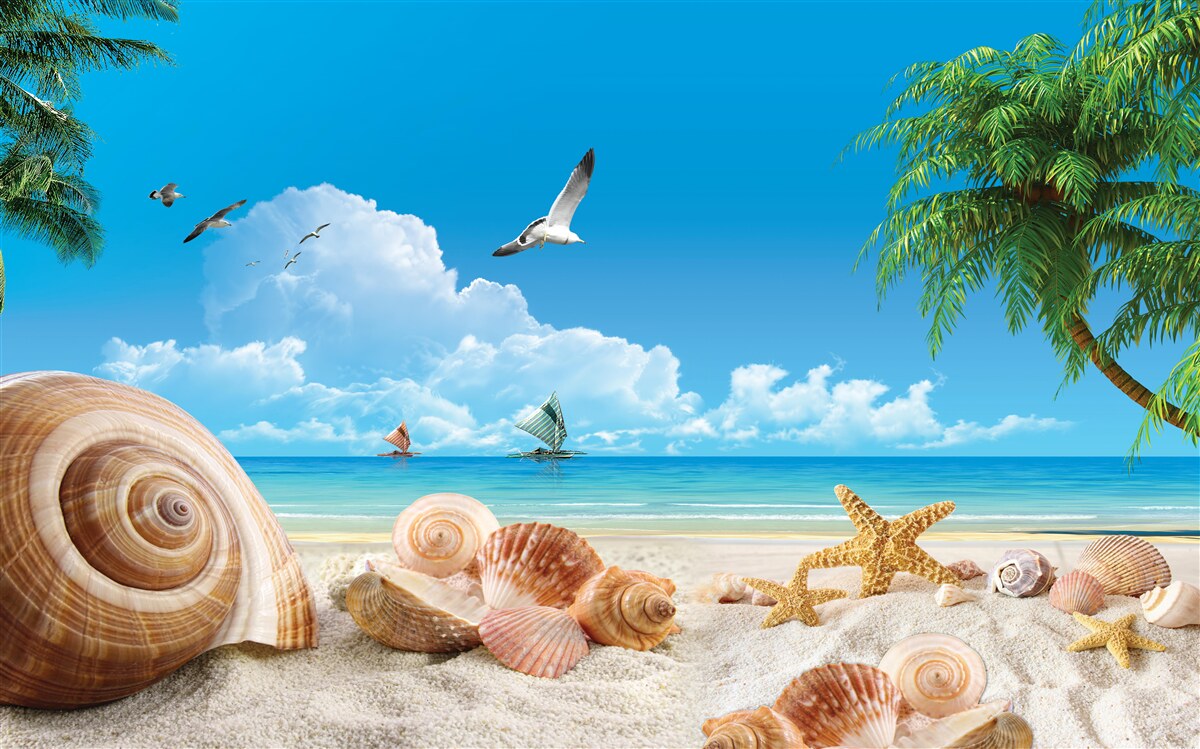 Papier peint rivage parsemé de coquillages et d'étoiles de mer