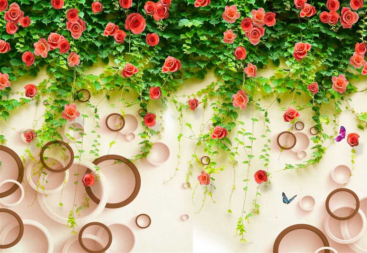 Papier peint roses sur la vigne