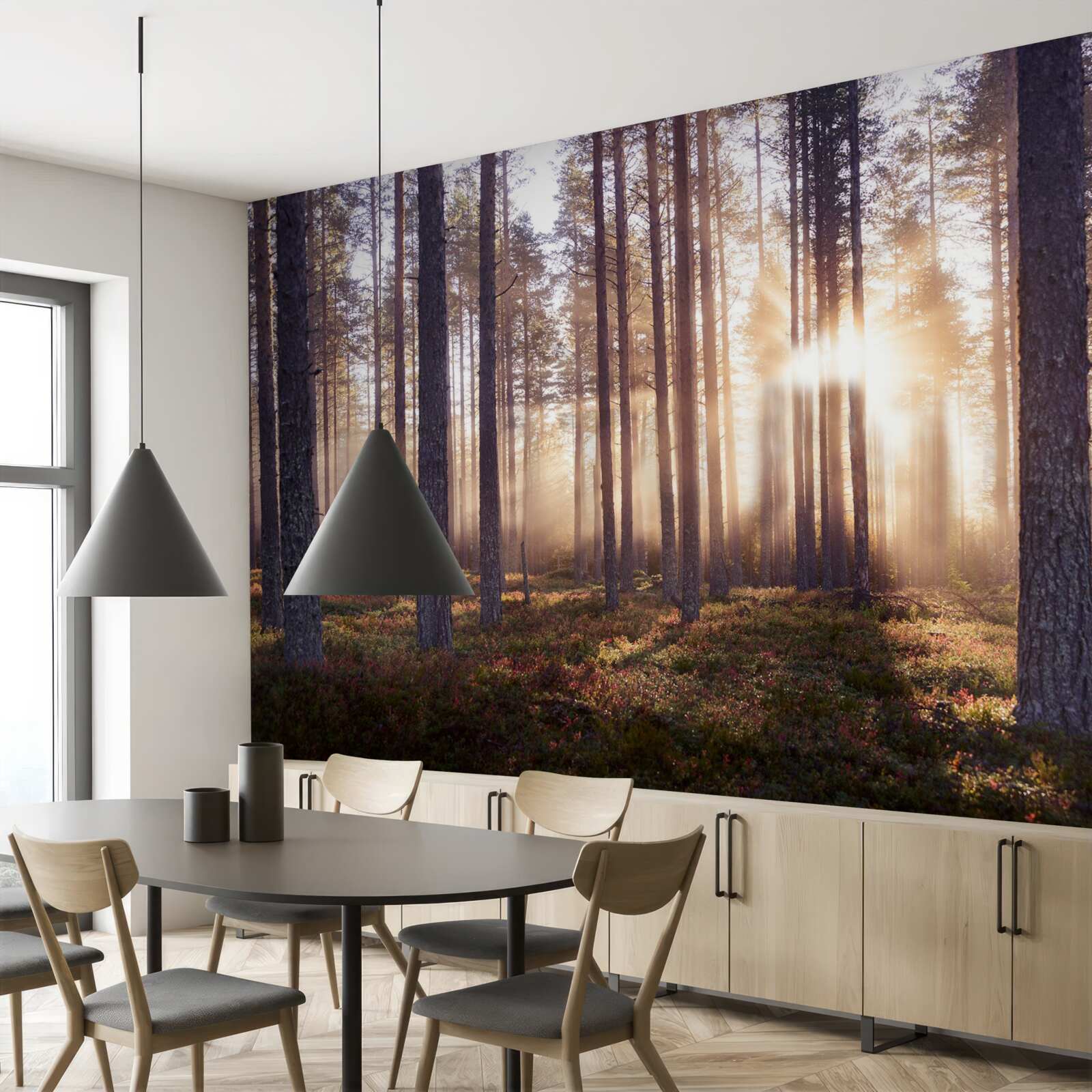 Papier peint matinée dans la forêt