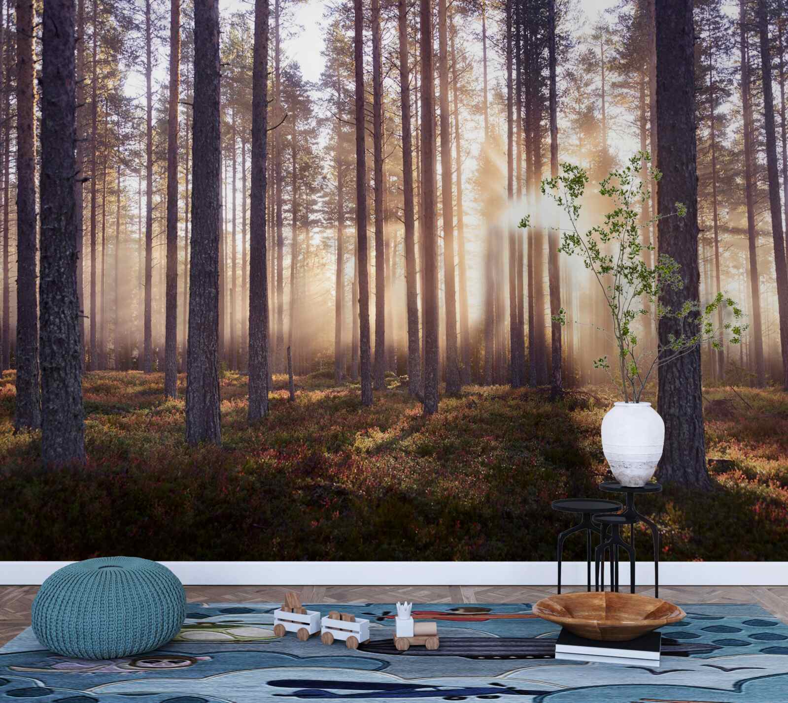 Papier peint matinée dans la forêt