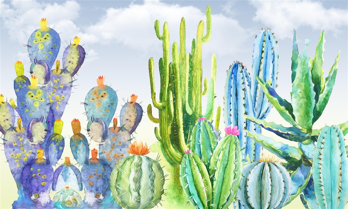 Papier peint grands cactus de différentes couleurs