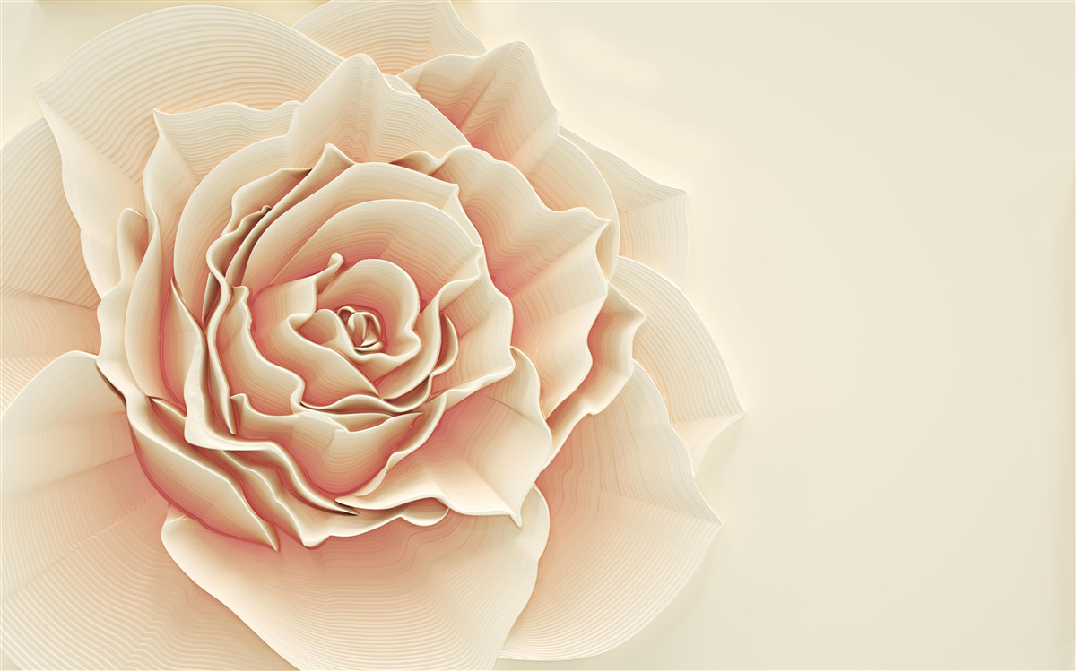 Papier peint grande rose crème