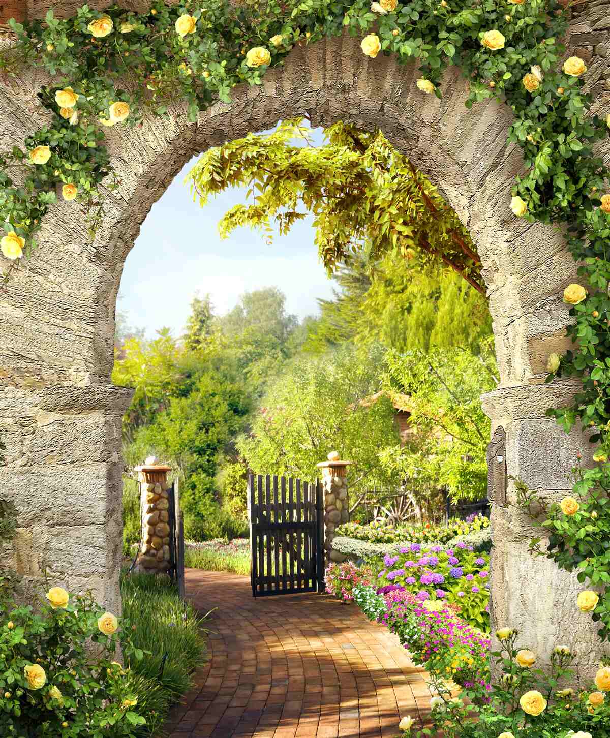 Papier peint jardin de roses