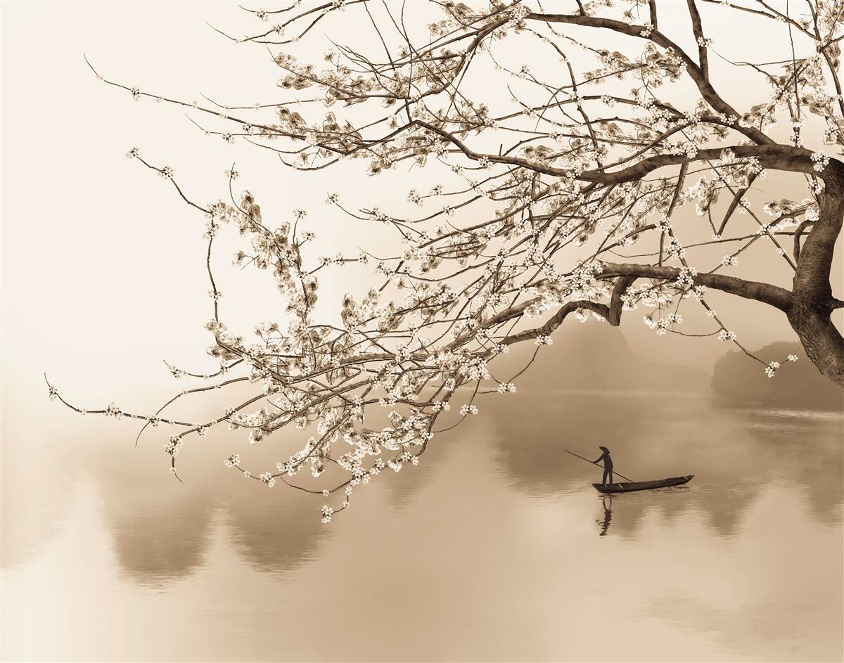 Papier peint homme naviguant sur un bateau