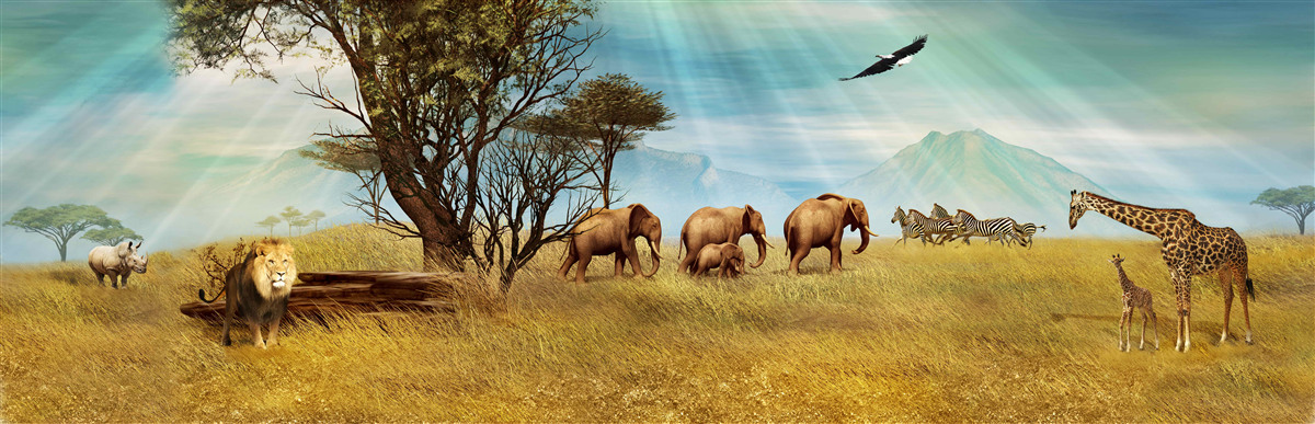 Papier peint promenade des animaux africains