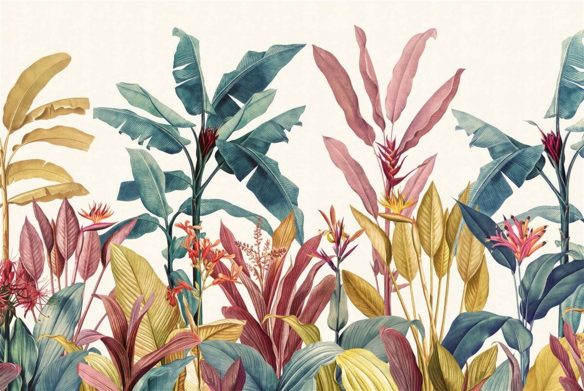 Papier peint des plantes de formes et de teintes variées
