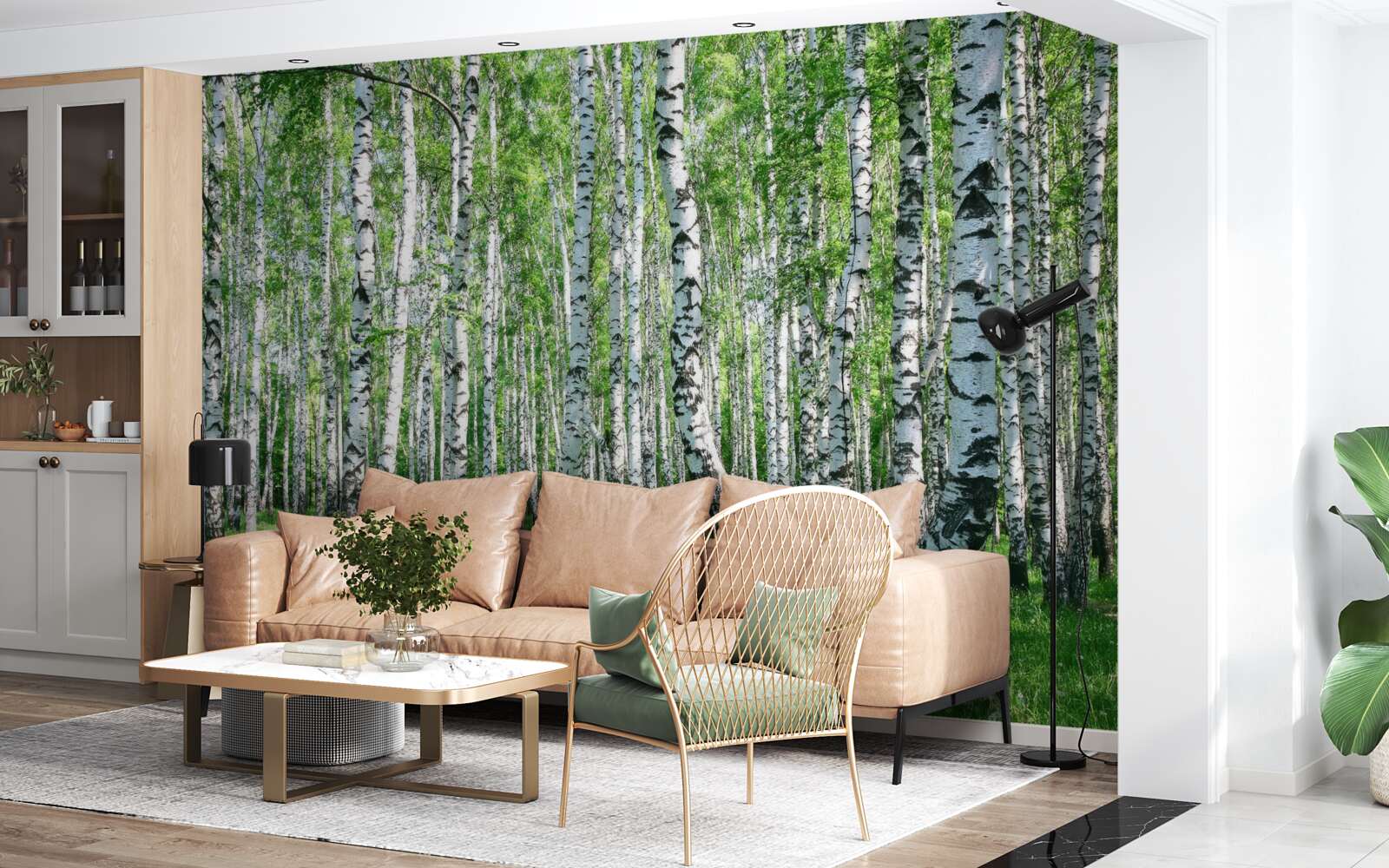 Papier peint forêt de bouleaux printanière