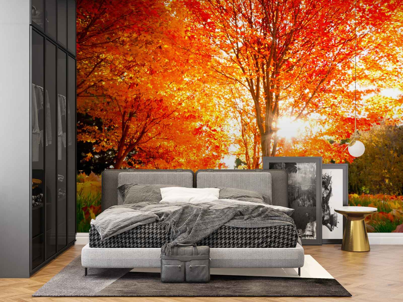 Papier peint forêt aux couleurs de l'automne