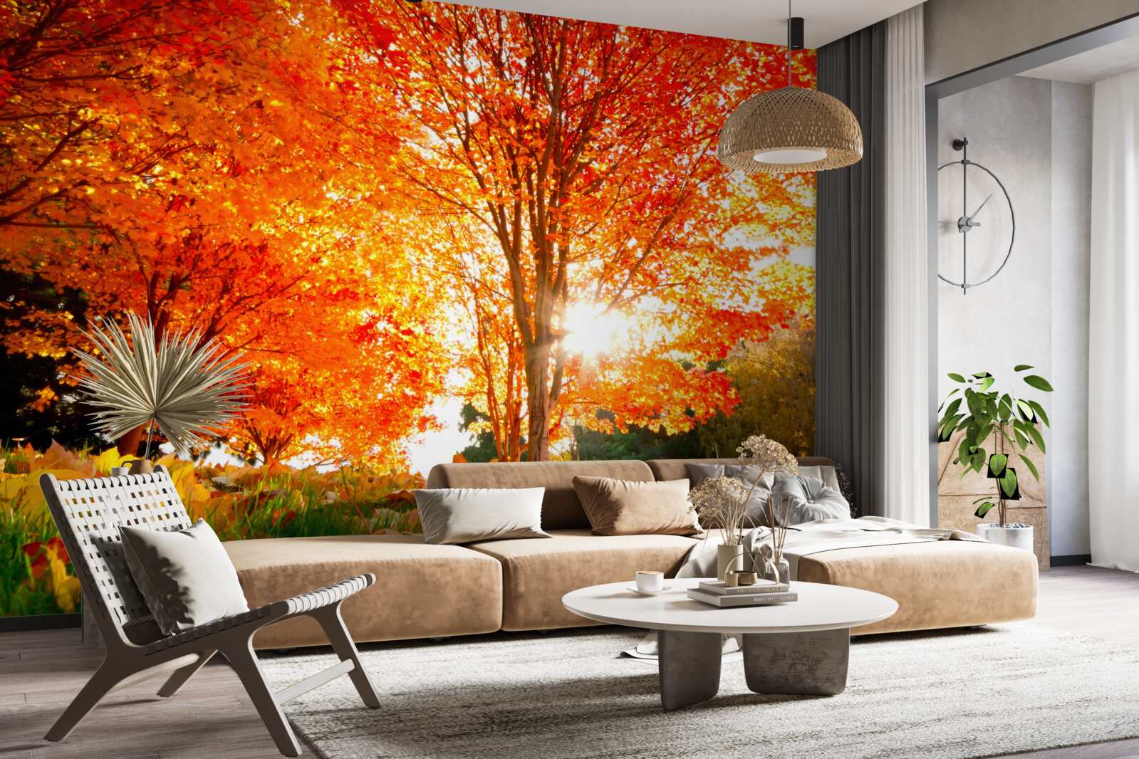 Papier peint forêt aux couleurs de l'automne