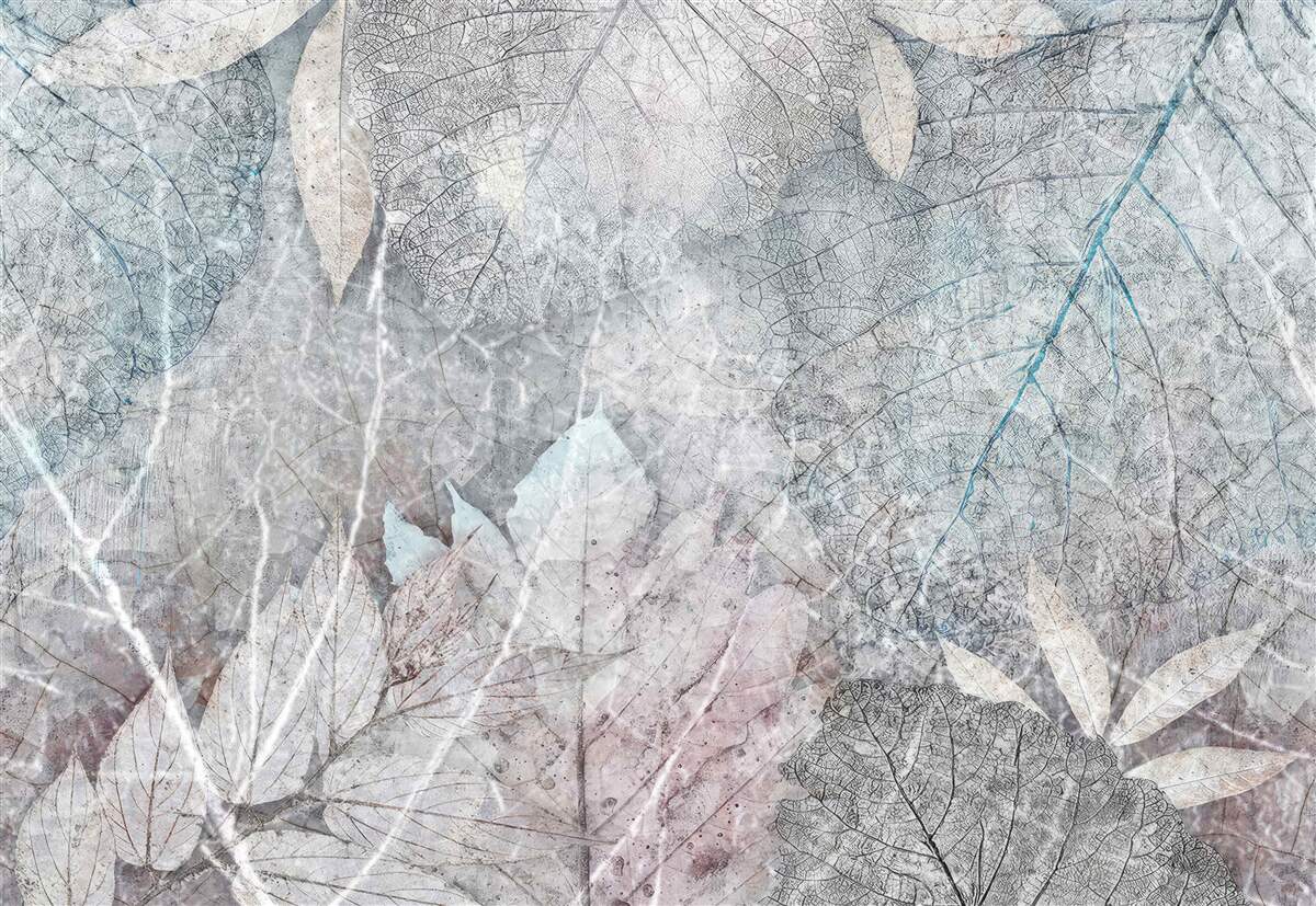 Papier peint collection de plantes séchées sur fond gris