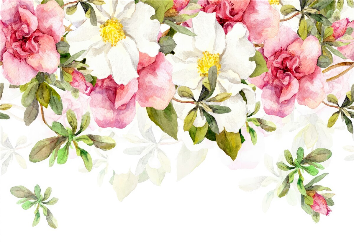 Papier peint marguerites blanches et roses roses