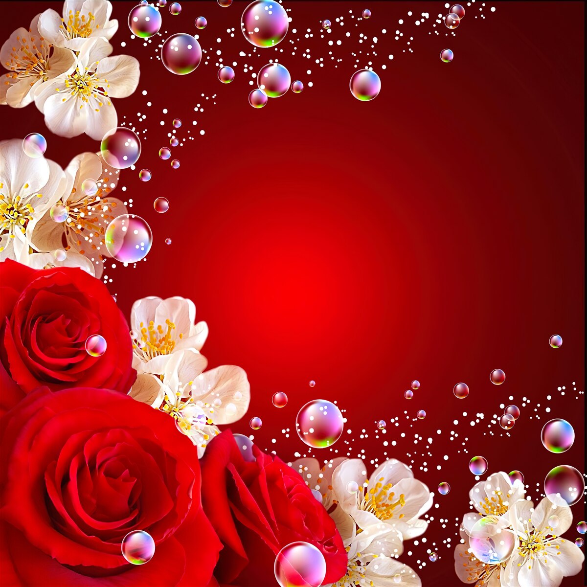 Papier peint fleurs blanches et roses rouges sur fond marron