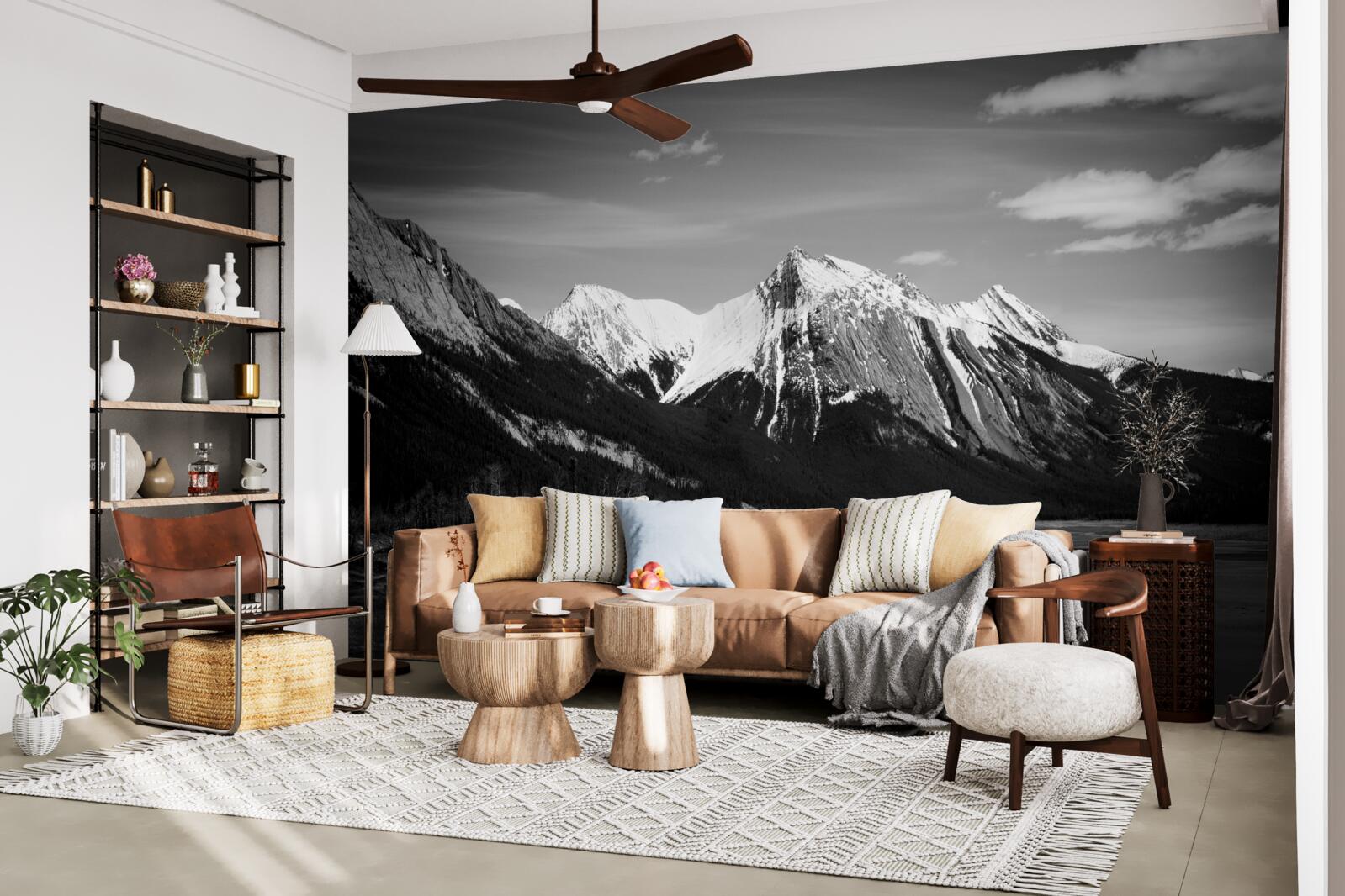 Papier peint montagnes en tons monochromes