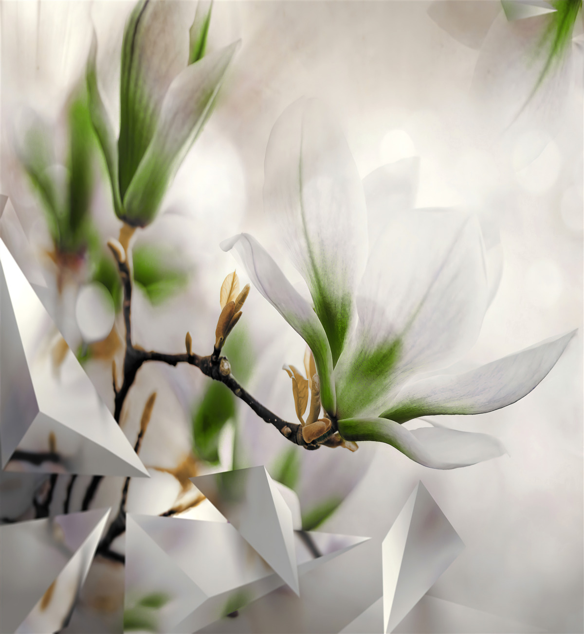 Papier peint des fleurs dans les tons de blanc et de vert combinées à des formes géométriques