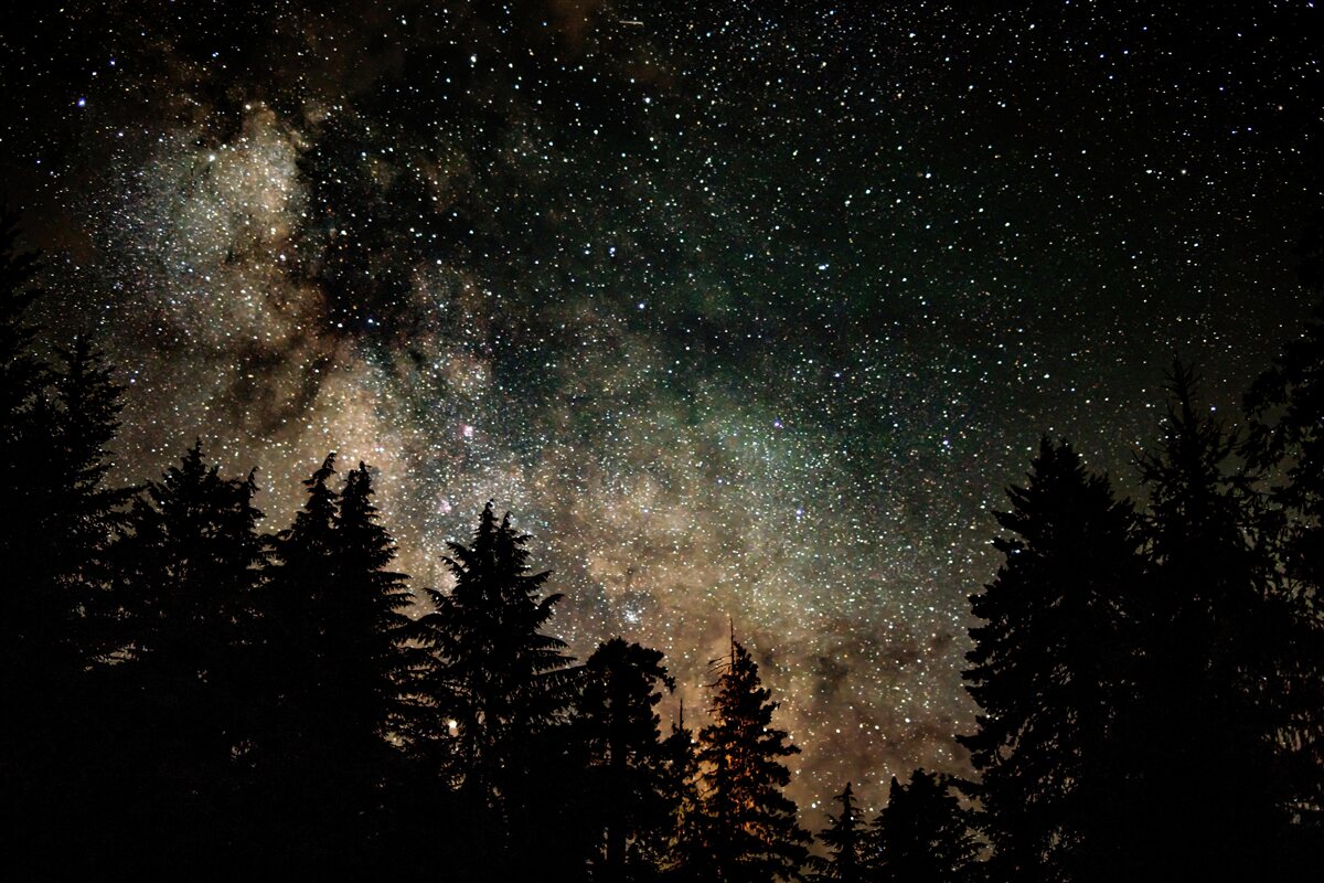 Papier peint la forêt la nuit et le ciel étoilé