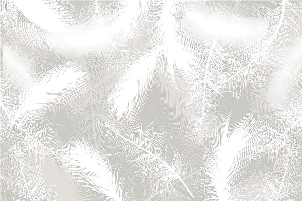 Papier peint plumes blanches en arrière-plan
