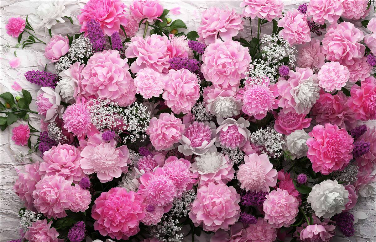 Papier peint un grand nombre de pivoines roses