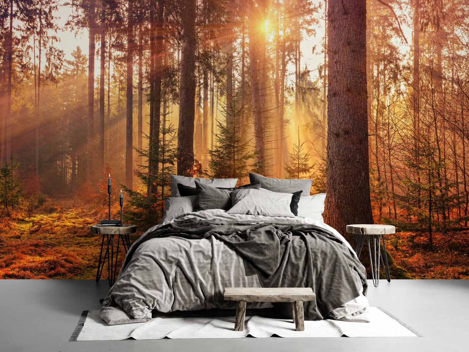 Papier peint Le soleil filtre à travers la forêt d'automne