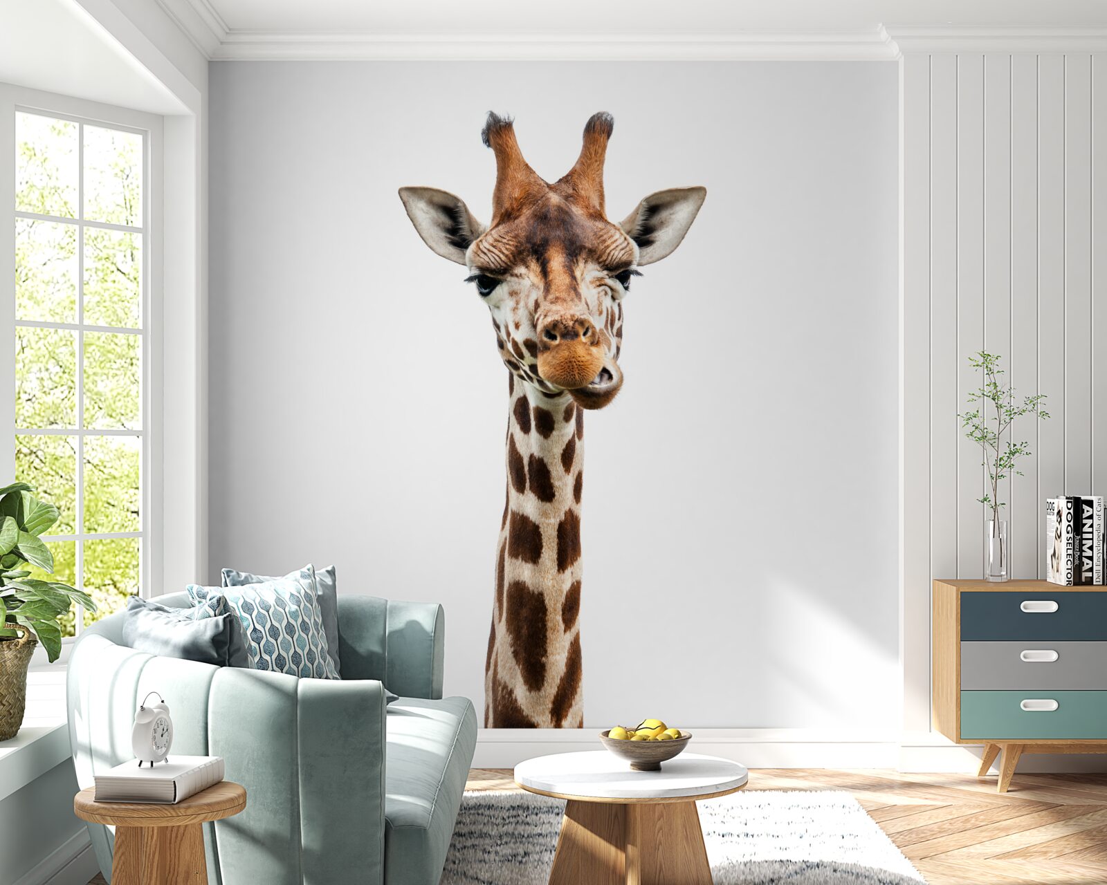 Papier peint expression inhabituelle sur le visage d'une girafe