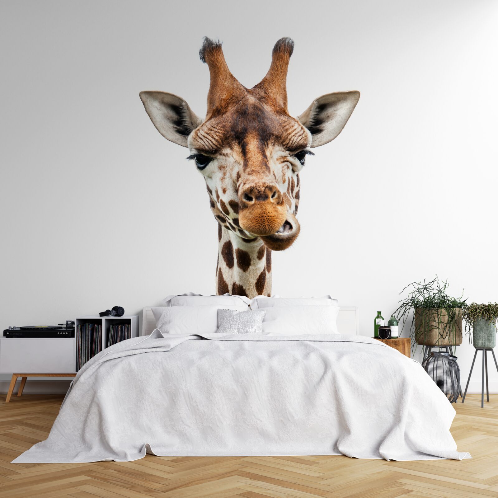 Papier peint expression inhabituelle sur le visage d'une girafe