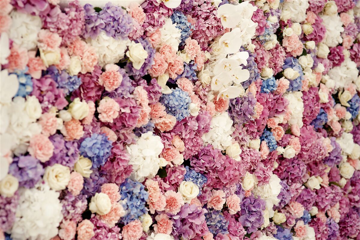 Papier peint fond de fleurs multicolores